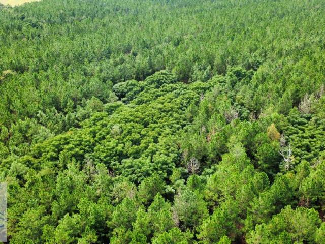 Land for sale in Fitzgerald, Georgia