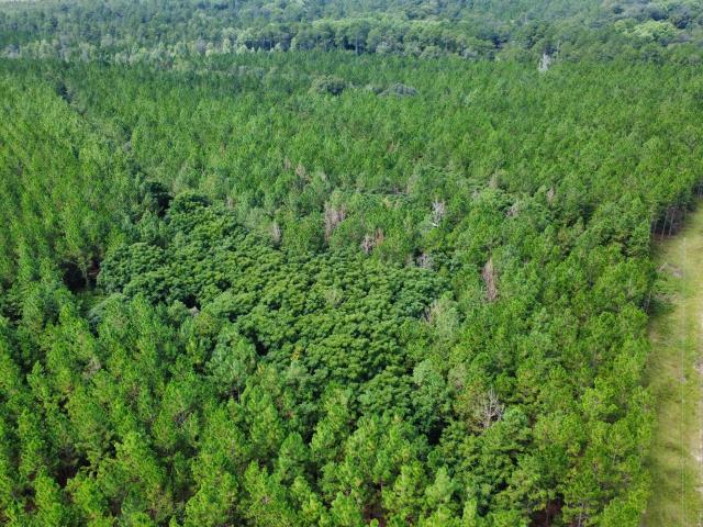 Land for sale in Fitzgerald, Georgia
