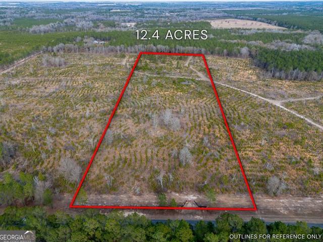 Land for sale in Dodge, Georgia
