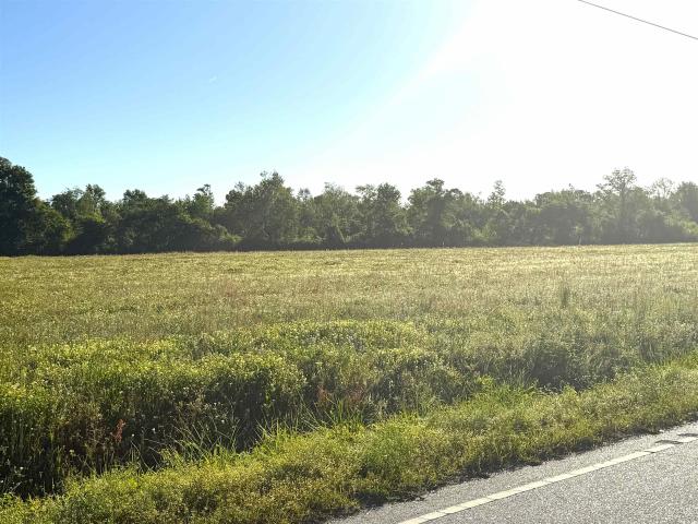 Land for sale in Scranton, South Carolina
