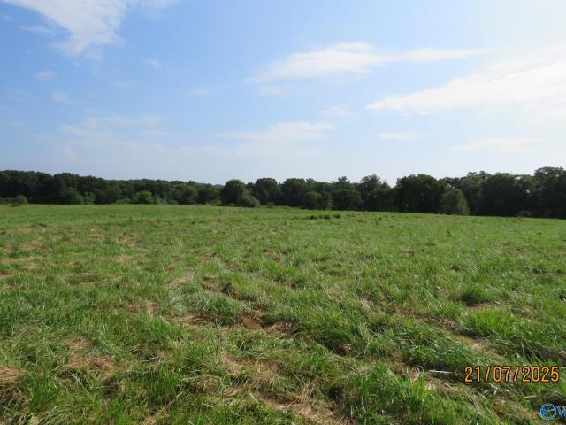 Land for sale in Boaz, Alabama