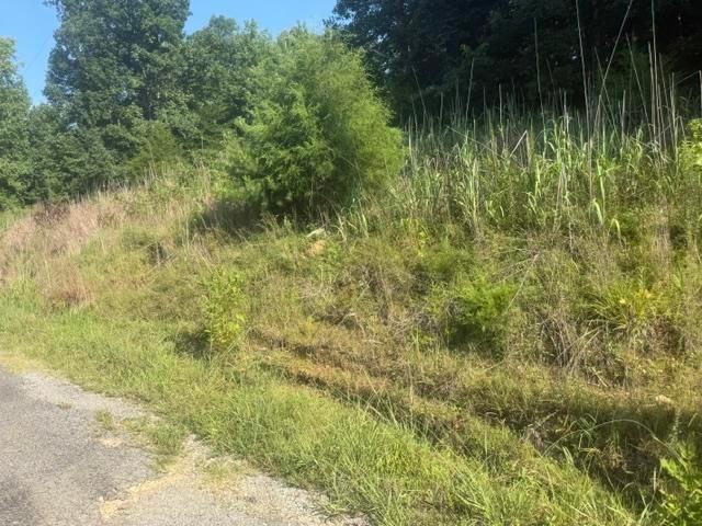 Land for sale in Tennessee