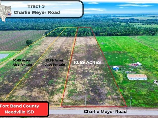 Land for sale in Damon, Texas