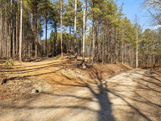 Land for sale in Murray, Georgia