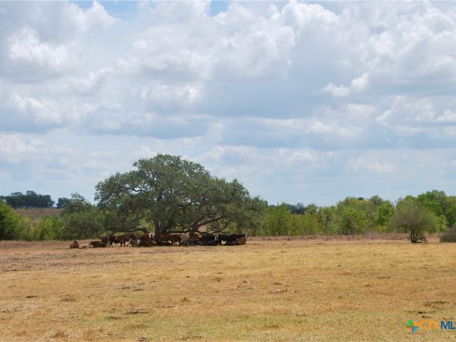 Farm for sale in Shiner, Texas