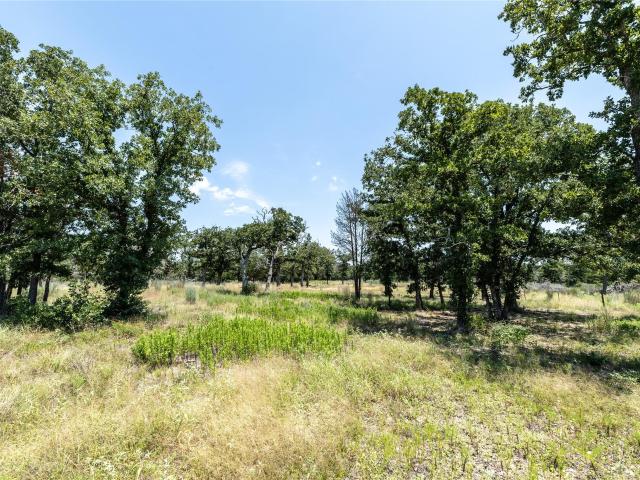 Land for sale in Paige, Texas
