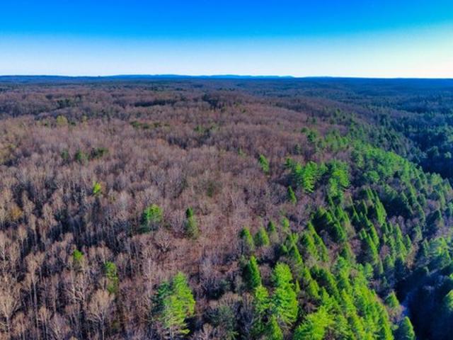 Land for sale in Tennessee