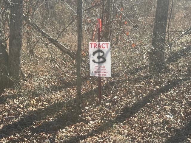 Land for sale in Tennessee