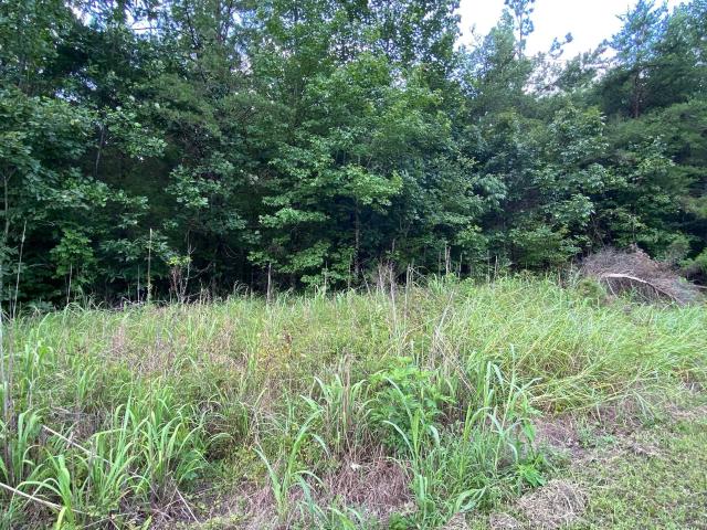 Land for sale in Tennessee
