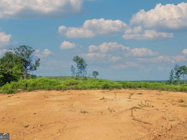 Land for sale in Talbot, Georgia