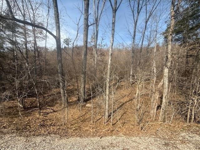Land for sale in Tennessee