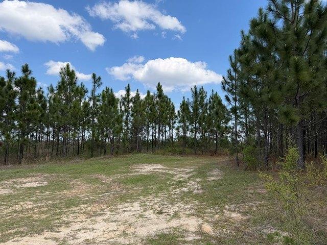 Land for sale in Clayton, Alabama