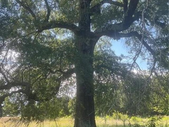 Land for sale in Howe, Oklahoma