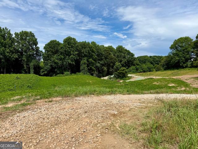 Land for sale in Banks, Georgia