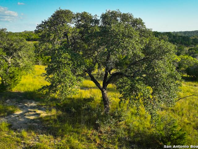 Land for sale in Comfort, Texas