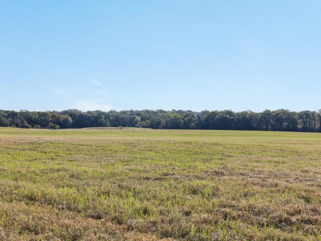 Land for sale in Limestone, Texas