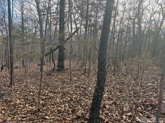Land for sale in Ark