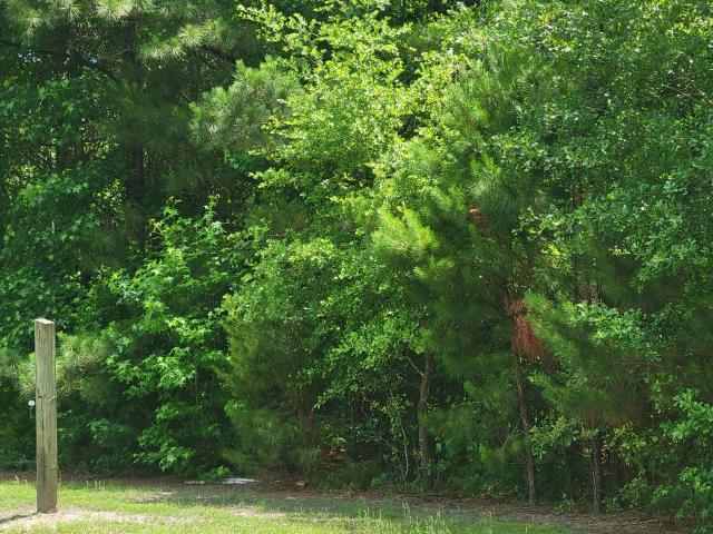 Land for sale in Burgaw, North Carolina