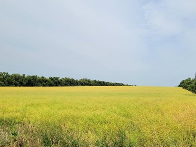 Land for sale in Bismarck, North Dakota