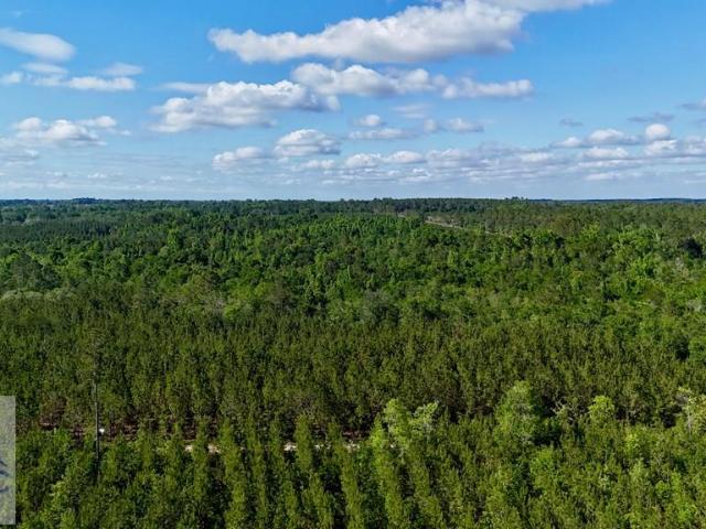 Land for sale in Baxley, Georgia