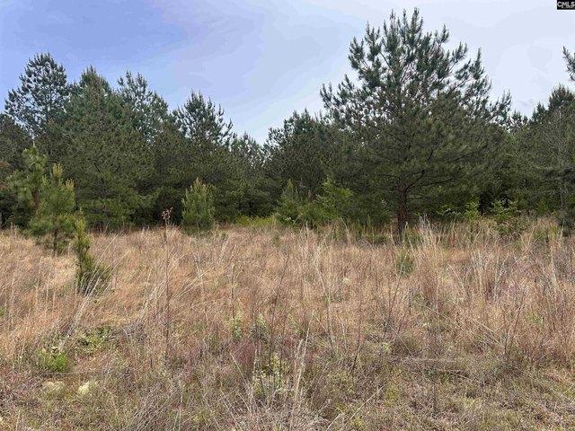 Land for sale in Darlington, South Carolina