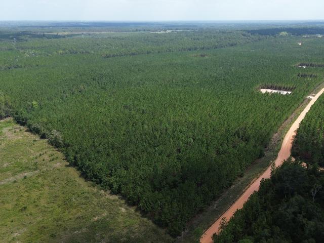 Land for sale in Baxley, Georgia