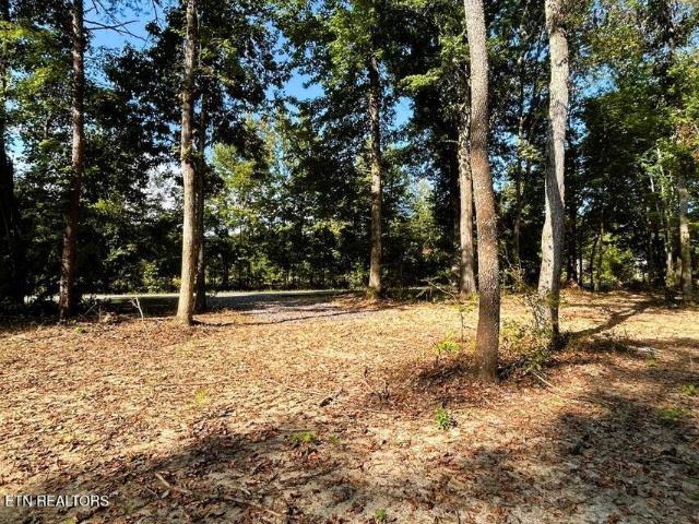 Land for sale in Tennessee