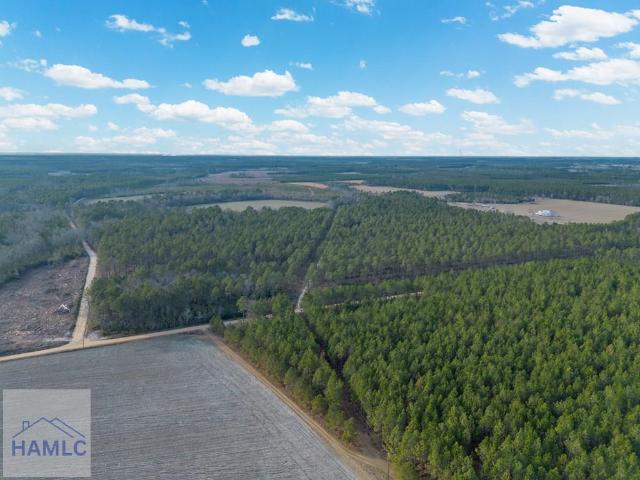 Land for sale in Odum, Georgia