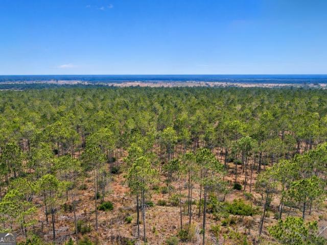 Ranch for sale in Odum, Georgia