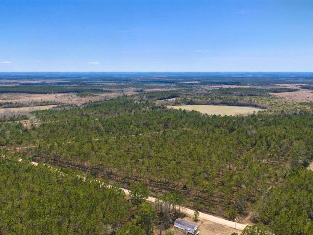 Ranch for sale in Odum, Georgia