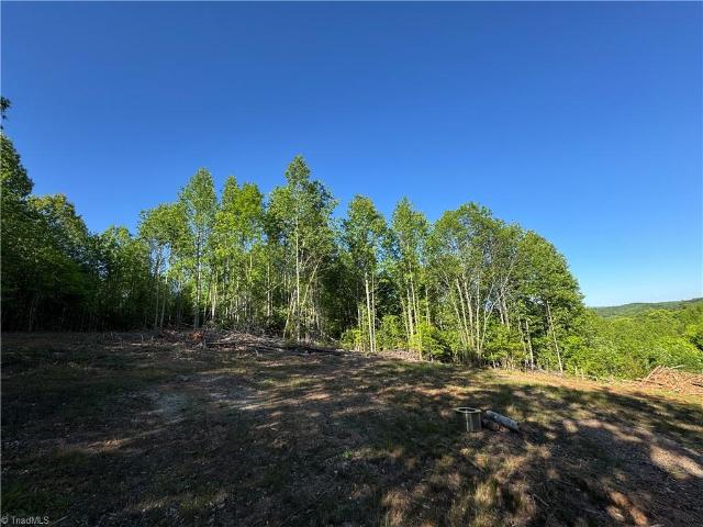Land for sale in Millers Creek, North Carolina