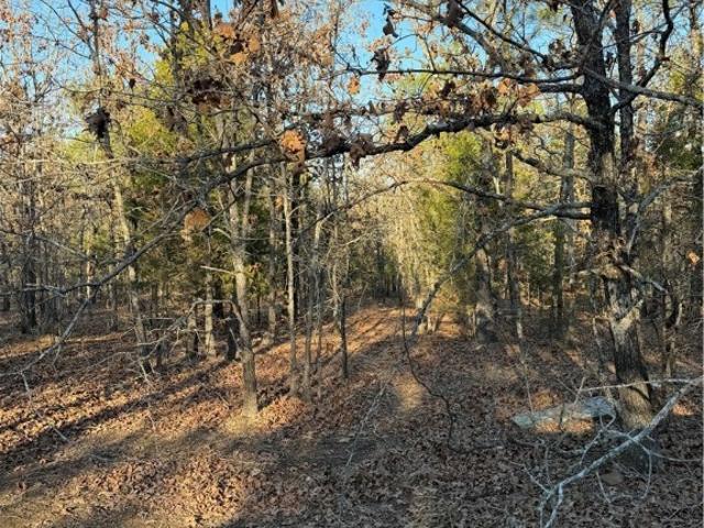 Land for sale in Atoka, Oklahoma