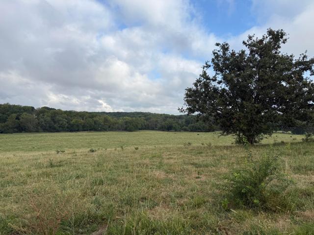 Land for sale in Republic, Missouri