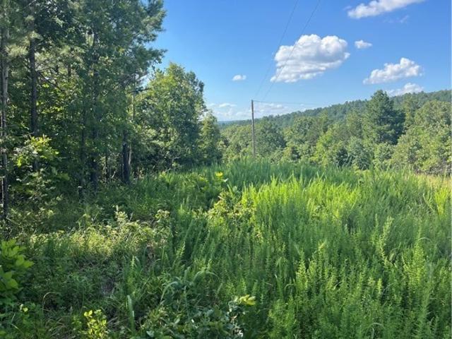 Land for sale in Red Oak, Oklahoma