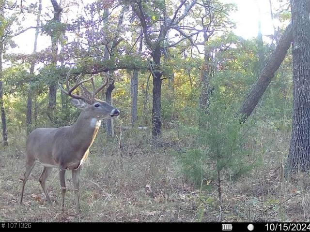 Land for sale in Wilburton, Oklahoma