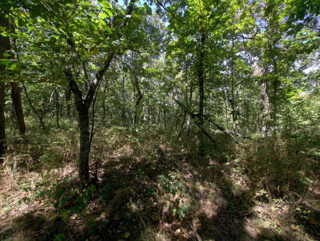Land for sale in Urbana, Missouri