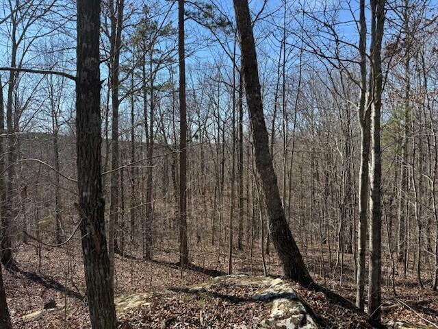 Land for sale in Tennessee