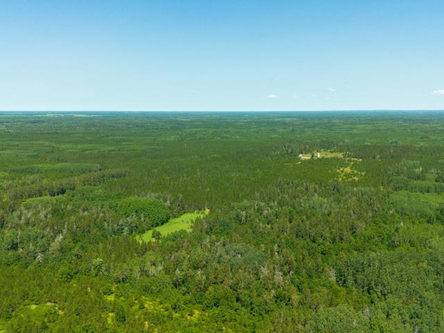 Land for sale in Wadena, Minnesota