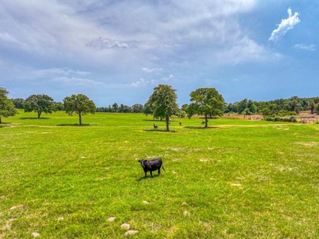 Land for sale in Poolville, Parker County
