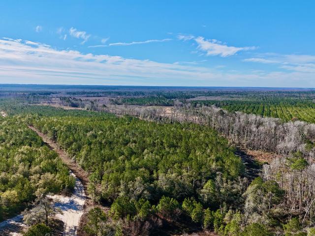 Land for sale in Lumber City, Wheeler County