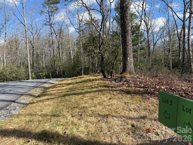 Land for sale in Horse Shoe, North Carolina