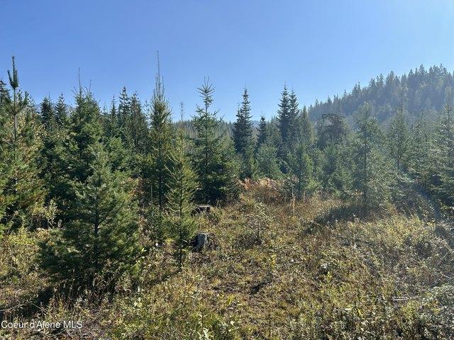 Land for sale in Clark Fork, Idaho