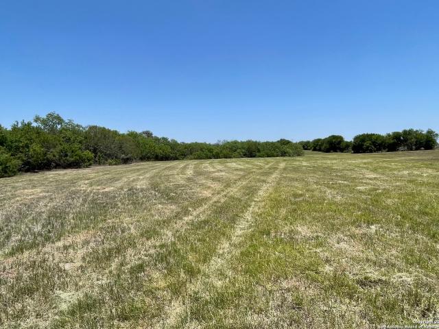 Land for sale in Bee, Texas