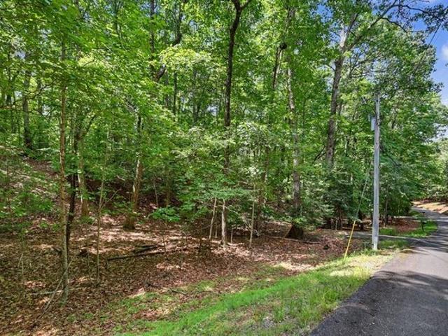 Land for sale in Blairsville, Georgia