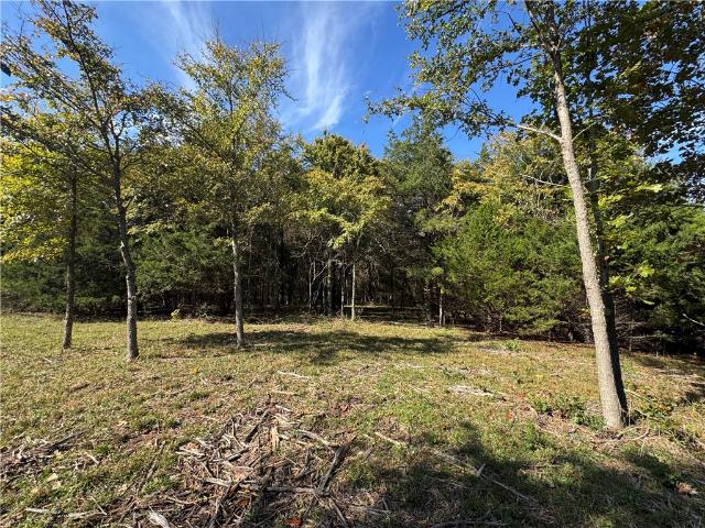 Land for sale in Ark