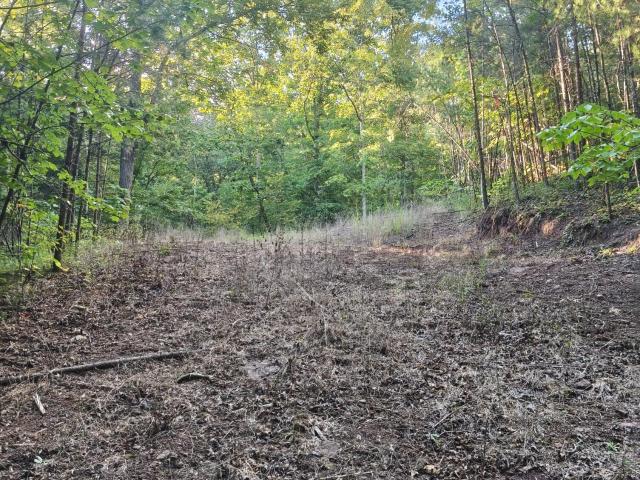 Land for sale in Tennessee