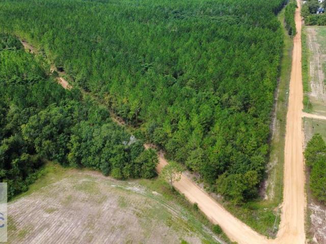Land for sale in Fitzgerald, Georgia