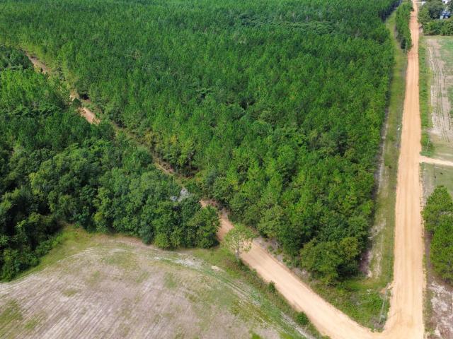 Land for sale in Fitzgerald, Ben Hill County