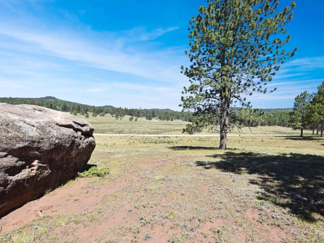 Land for sale in New Mexico