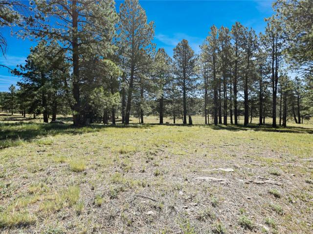 Land for sale in New Mexico